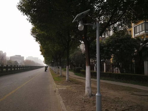 沙浦河邊安裝太陽能路燈進展 顧新路道路監(jiān)控設(shè)施升級 平流霧下的新顧城 沙浦路新裝修永輝生活超市 友誼西路劃道路標識線