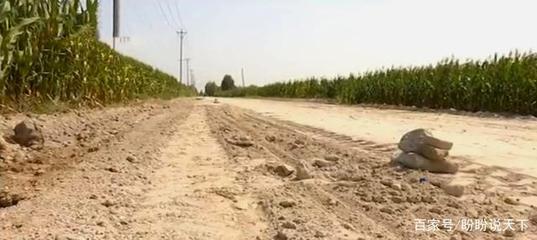 保定清苑區(qū)為了給工廠修路,私自侵占農(nóng)民耕地,被省臺曝光