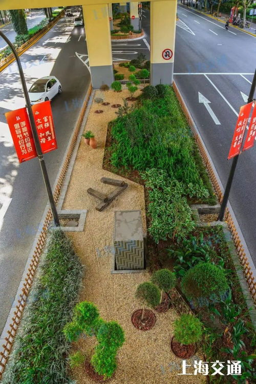 地鐵站被 森林 包圍 從空中可直達南外灘 上海這些交通設(shè)施 車站美出圈